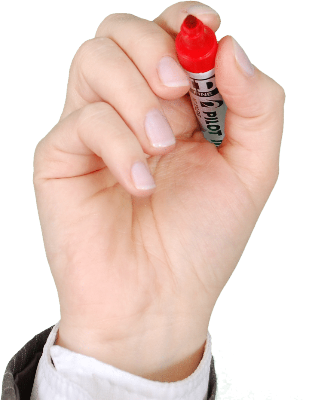 Canva – Person Holding Red Marker